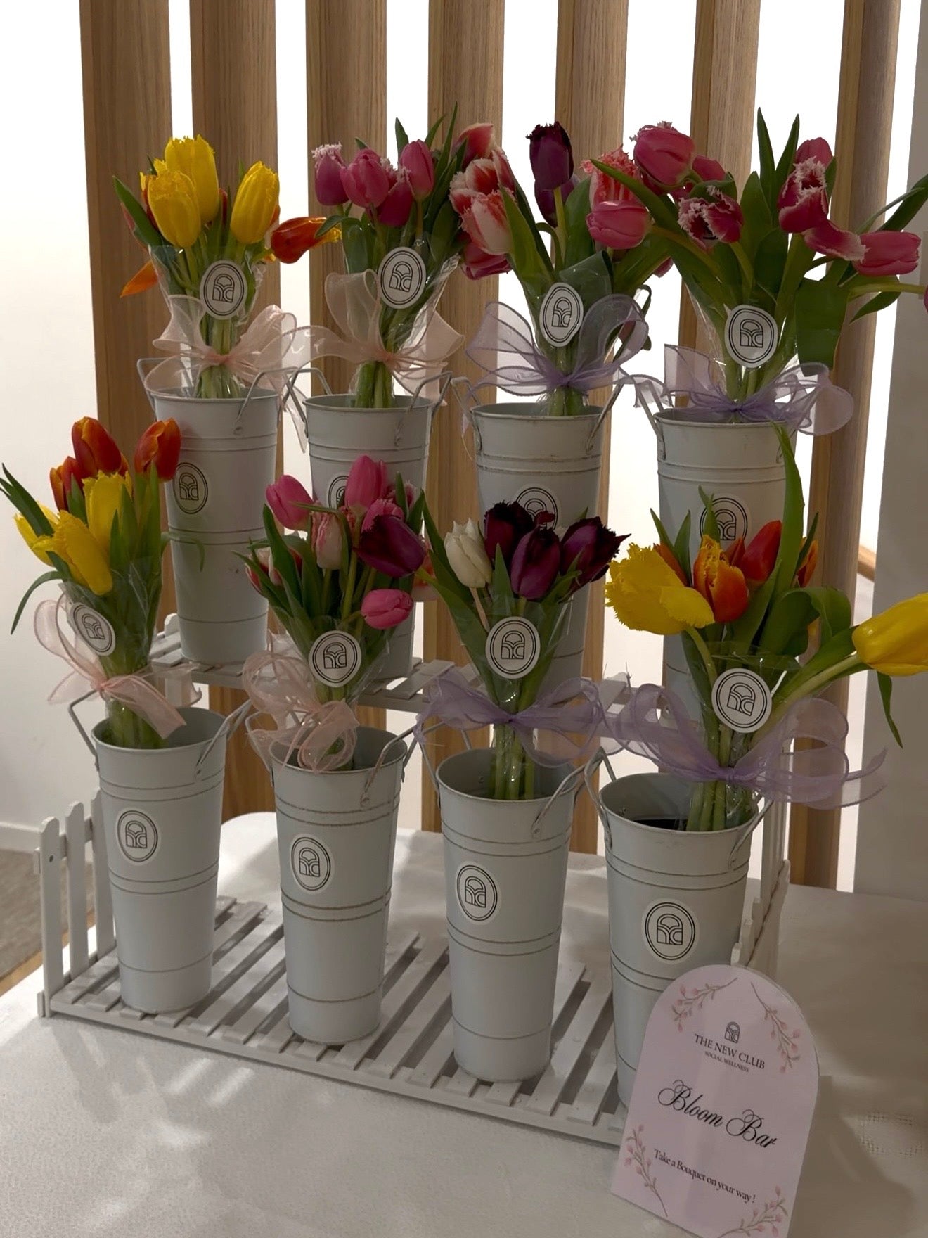 Spring Reset